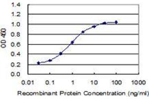 Detection limit for recombinant GST tagged GH1 is 0. (Growth Hormone 1 antibody  (AA 1-217))