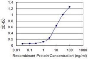 Detection limit for recombinant GST tagged AGTPBP1 is 0. (AGTPBP1 antibody  (AA 1087-1186))