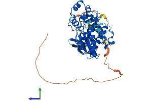 AlphaFold protein structure predicition of Human Recombinant MAPK8 Protein, UniprotID P45983 (JNK Protein (AA 1-427) (His tag))