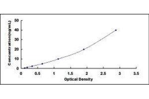 Typical standard curve