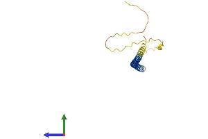 AlphaFold protein structure predicition of Human Recombinant CEBPG Protein, UniprotID P53567