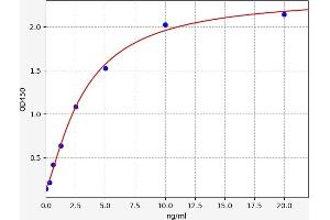 GJB1 ELISA Kit