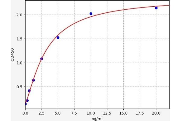 GJB1 ELISA Kit