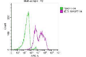 Overlay histogram showing 293F cells transfected with TNFRSF17 stained with ABIN7172256 (red line) at 1:100. (BCMA antibody  (AA 1-54))