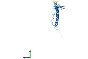 AlphaFold protein structure predicition of Mouse Recombinant Cby1 Protein, UniprotID Q9D1C2
