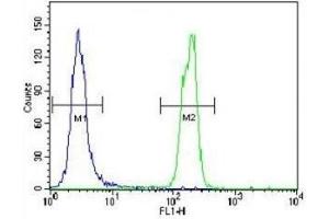 Flow Cytometry (FACS) image for anti-Small Ubiquitin Related Modifier Protein 1 (SUMO1) (AA 52-79) antibody (ABIN3029035)