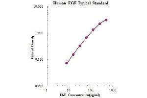 ELISA image for Epidermal Growth Factor (EGF) ELISA Kit (ABIN3198526) (EGF ELISA Kit)