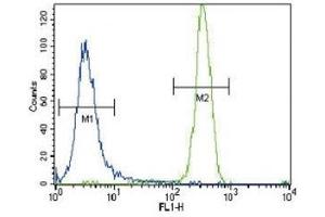 CSF1R antibody flow cytometric analysis of NCI-H460 cells (right histogram) compared to a negative control (left histogram). (CSF1R antibody  (AA 940-971))