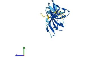 Protein Structure (PS) image for IMP1 Inner Mitochondrial Membrane Peptidase-Like (IMMP1L) (AA 1-166) protein (His tag) (ABIN7560579)