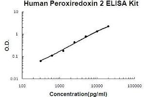 Human Peroxiredoxin 2 PicoKine ELISA Kit standard curve