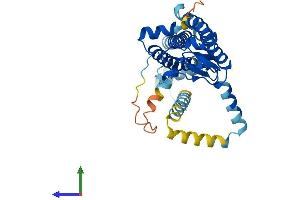 AlphaFold protein structure predicition of Human Recombinant ZDHHC4 Protein, UniprotID Q9NPG8 (ZDHHC4 Protein (AA 1-344) (His tag))