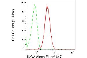 Flow cytometric analysis of ING2 expression in HepG2 cells using ING2 antibody (ABIN7799032), 1:2,000). (Recombinant ING2 antibody)