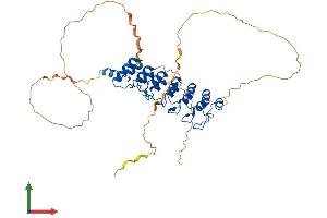 Protein Structure (PS) image for B-Cell CLL/lymphoma 3 (BCL3) (AA 1-454) protein (His tag) (ABIN7552610)