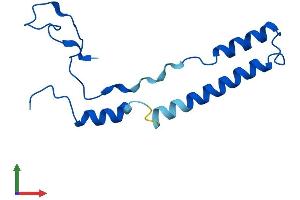 AlphaFold protein structure predicition of Human Recombinant CHCHD1 Protein, UniprotID Q96BP2 (CHCHD1 Protein (AA 1-118) (His tag))