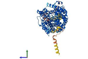 AlphaFold protein structure predicition of Mouse Recombinant Slc6a6 Protein, UniprotID O35316
