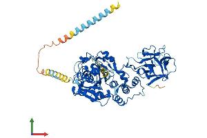 AlphaFold protein structure predicition of Human Recombinant GALNT9 Protein, UniprotID Q9HCQ5