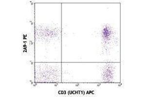 Flow Cytometry (FACS) image for anti-Chemokine (C-X3-C Motif) Receptor 1 (CX3CR1) antibody (ABIN2664898) (CX3CR1 antibody)