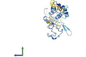 AlphaFold protein structure predicition of Human Recombinant ARL14EP Protein, UniprotID Q8N8R7 (C11orf46 Protein (AA 1-260) (His tag))