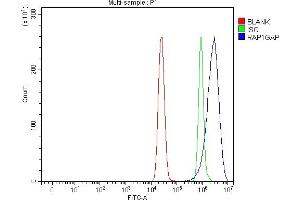 Flow Cytometry analysis of MCF-7 cells using anti-RAP1GAP antibody (ABIN7599729). (RAP1GAP antibody  (AA 11-661))