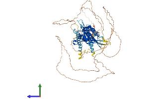 AlphaFold protein structure predicition of Human Recombinant SIM1 Protein, UniprotID P81133 (SIM1 Protein (AA 1-766) (His tag))