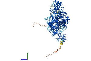 Protein Structure (PS) image for Ribonuclease L (2',5'-Oligoisoadenylate Synthetase-Dependent) (RNASEL) (AA 1-741) protein (His tag) (ABIN7555238)