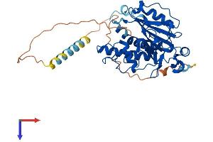 GGTA1 Protein (AA 1-394) (His tag)