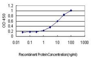 ELISA image for anti-Glutaminyl-tRNA Synthetase (QARS) (AA 677-776) antibody (ABIN598566) (QARS antibody  (AA 677-776))