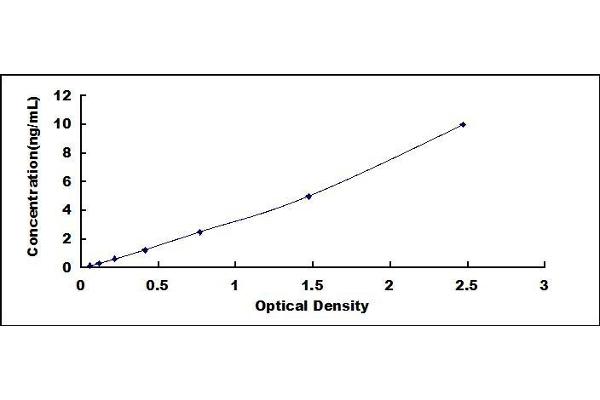 LIMS1 ELISA Kit