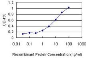 Detection limit for recombinant GST tagged RPN1 is approximately 1ng/ml as a capture antibody. (RPN1 antibody  (AA 24-607))