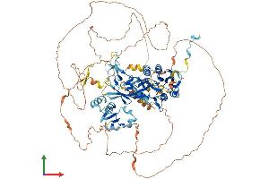 AlphaFold protein structure predicition of Human Recombinant LPIN2 Protein, UniprotID Q92539