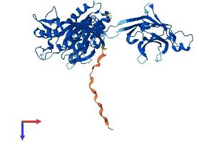 AlphaFold protein structure predicition of Human Recombinant CPNE2 Protein, UniprotID Q96FN4 (Copine II Protein (CPNE2) (AA 1-548) (His tag))