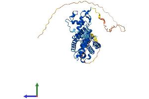 AlphaFold protein structure predicition of Mouse Recombinant Nr1h2 Protein, UniprotID Q60644 (NR1H2 Protein (AA 1-446) (His tag))