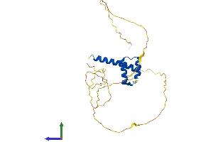 Protein Structure (PS) image for Homeobox D12 (HOXD12) (AA 1-268) protein (His tag) (ABIN7562987)