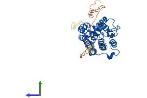 AlphaFold protein structure predicition of Human Recombinant HMOX1 Protein, UniprotID P09601 (HMOX1 Protein (AA 1-288) (His tag))