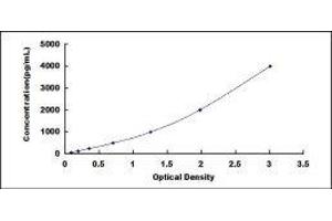 Cystatin A (Stefin A) (CSTA) ELISA Kit