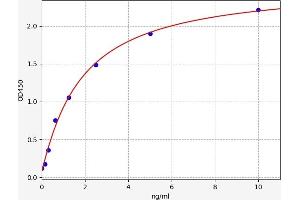 TRF1 ELISA Kit