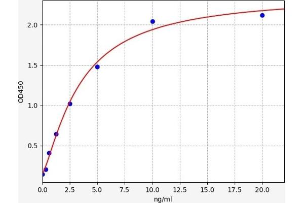 SIRT1 ELISA Kit