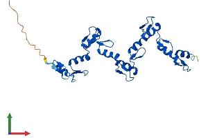 AlphaFold protein structure predicition of Human Recombinant ZNF501 Protein, UniprotID Q96CX3