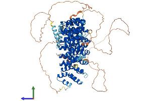 Protein Structure (PS) image for Protein Phosphatase 4, Regulatory Subunit 1 (PPP4R1) (AA 1-951) protein (His tag) (ABIN7564639)