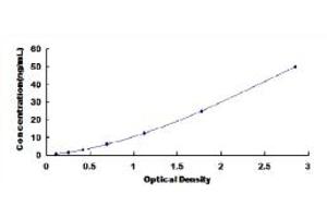 Typical standard curve (GCK ELISA Kit)