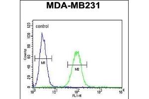 CTSF Antibody (Center ) (ABIN390488 and ABIN2840848) flow cytometric analysis of MDA-M cells (right histogram) compared to a negative control cell (left histogram). (Cathepsin F antibody  (AA 261-290))