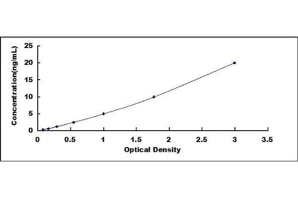 PSMB8 ELISA Kit