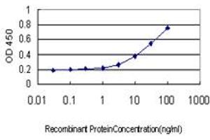 Detection limit for recombinant GST tagged LOXL2 is approximately 0.