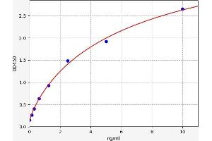 Phospholipase C gamma 1 ELISA Kit