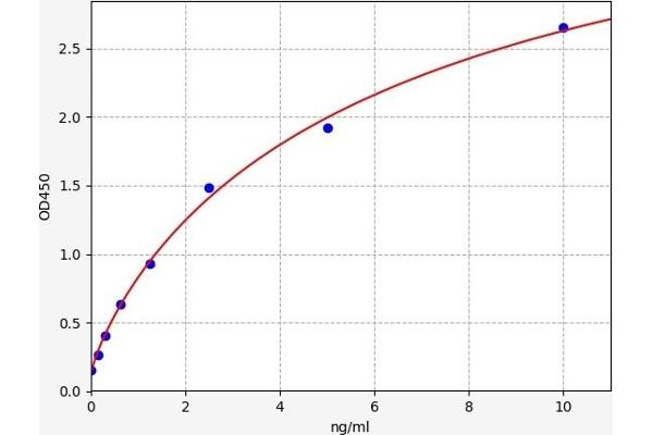 Phospholipase C gamma 1 ELISA Kit