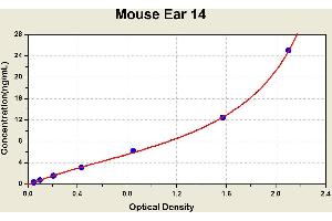 Diagramm of the ELISA kit to detect Mouse Ear 14with the optical density on the x-axis and the concentration on the y-axis. (EAR14 ELISA Kit)