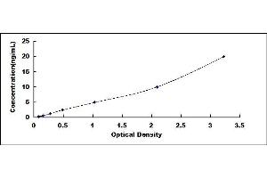 Typical standard curve (SIRT6 ELISA Kit)