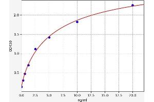 Typical standard curve (Transgelin 3 ELISA Kit)