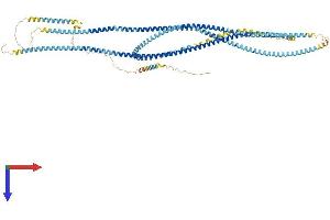 Coiled-Coil Domain Containing 178 (CCDC178) (AA 1-867) protein (His tag)