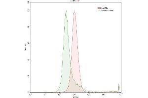 Detection of IFNa in Raji human Burkitt's lymphoma cell line using Polyclonal Antibody to Interferon Alpha (IFNa) (IFNA antibody)